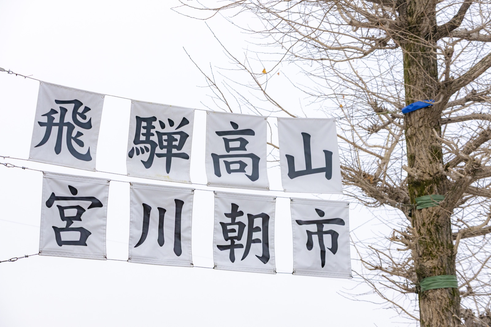 宮川沿いに並ぶ宮川朝市